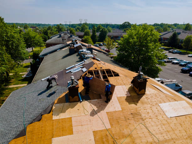 Trusted Storm Damage Roof Repair service in Taylor, PA - Brentwood Metal Roofing